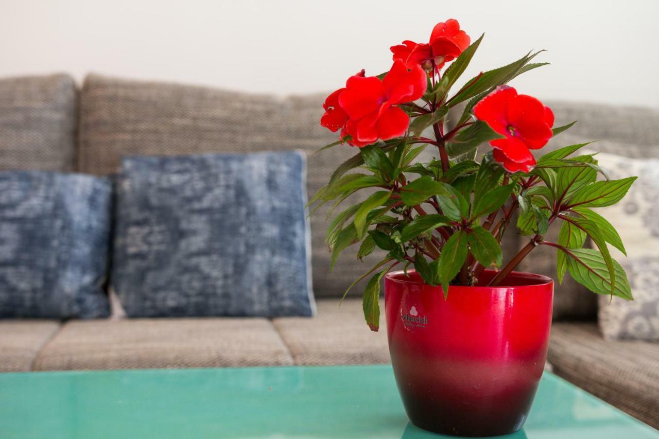 Apartament The Look Mali Lošinj Zewnętrze zdjęcie